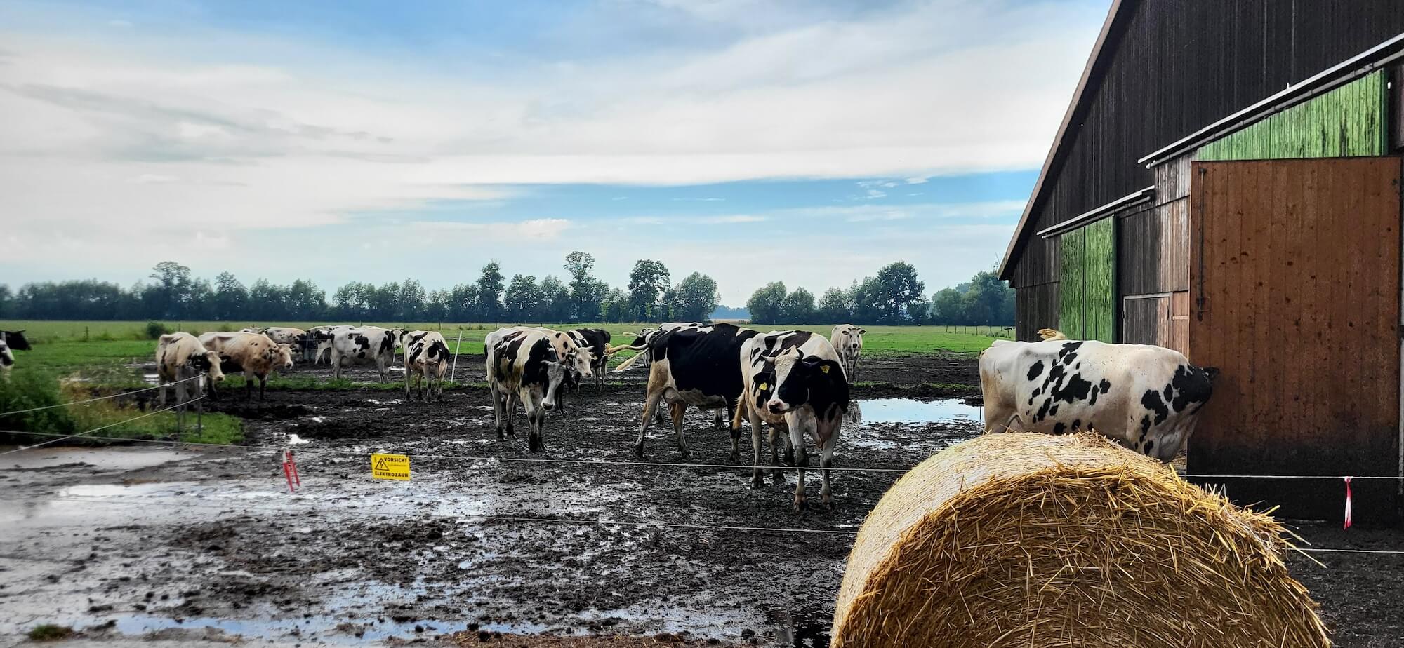 Wir besuchen mit Kantine Zukunft die Erzeugerbetriebe in Brandenburg